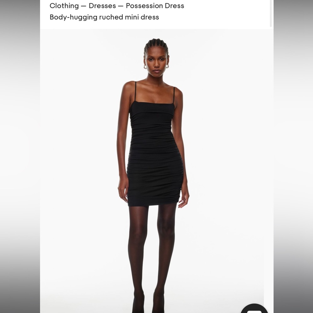 Aritzia Dress